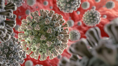 Coronavirus – Covid-19, ce qu’il faut faire et ne pas faire  !