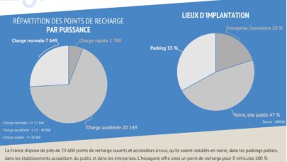Seulement 30 000 points de recharge en France, à fin mars 2020…